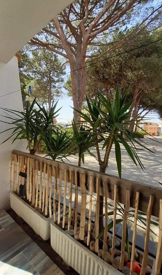 T2-3 Cabine Les Yuccas 200 M Plage Du Boucanet Rive Droite Grau Du Roi Ideal 2-4 Pers Apartment Льо Гро-дю-Роа Екстериор снимка